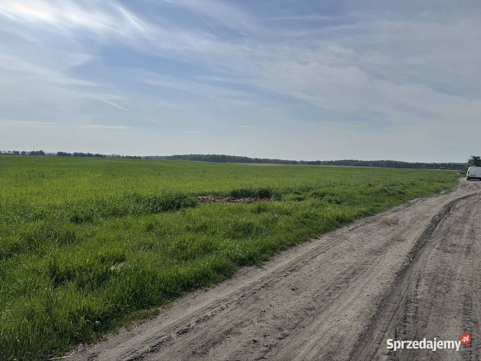 Działki budowlane Daleszyn