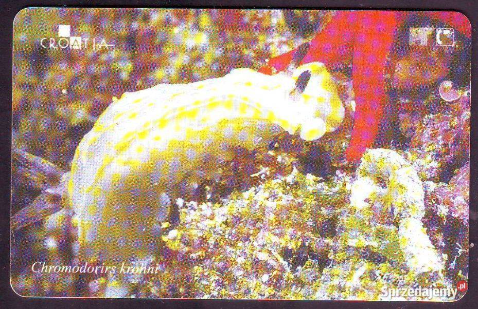 Kart elektr Horwacja Ślimak Gliwice sprzedam