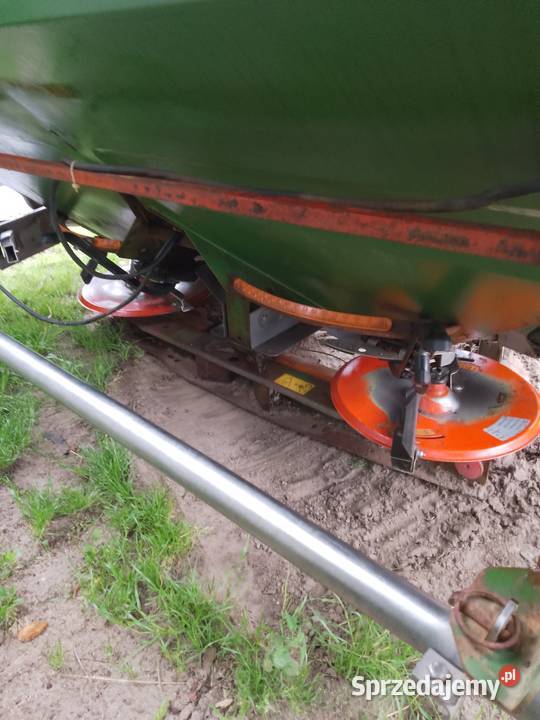 Sprzedam pszenżyto avocado sprzedam