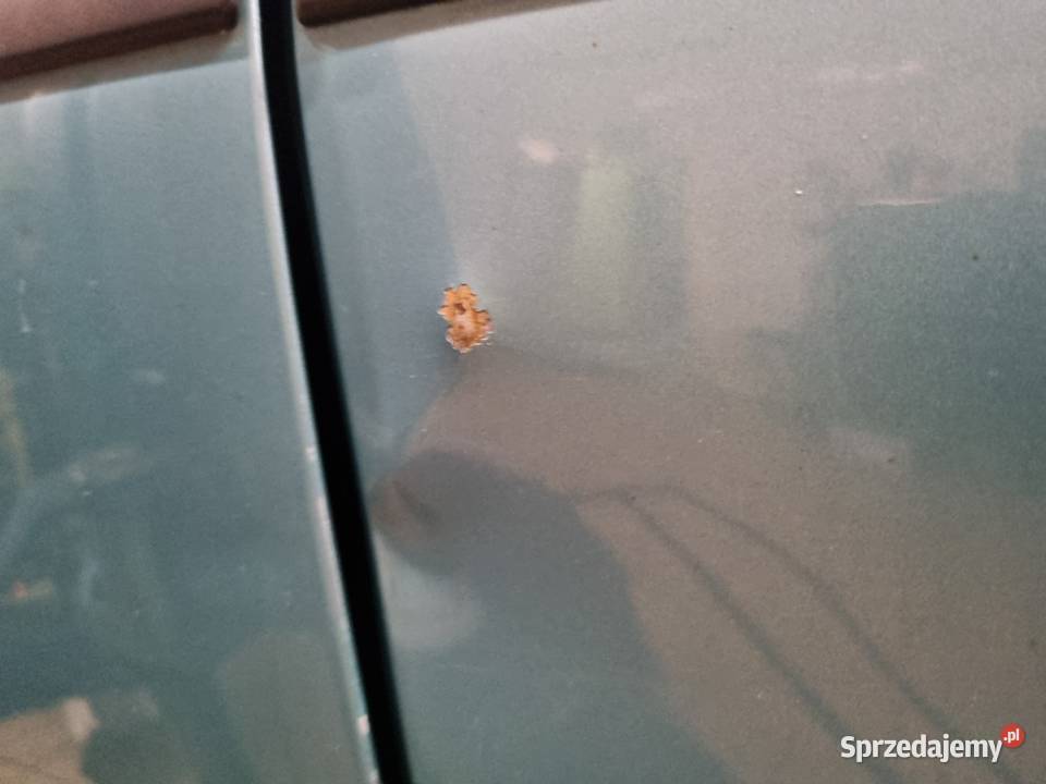 Opel Meriva silnik 16 benzyna 178 ogranicznik prędkości Słubice sprzedam