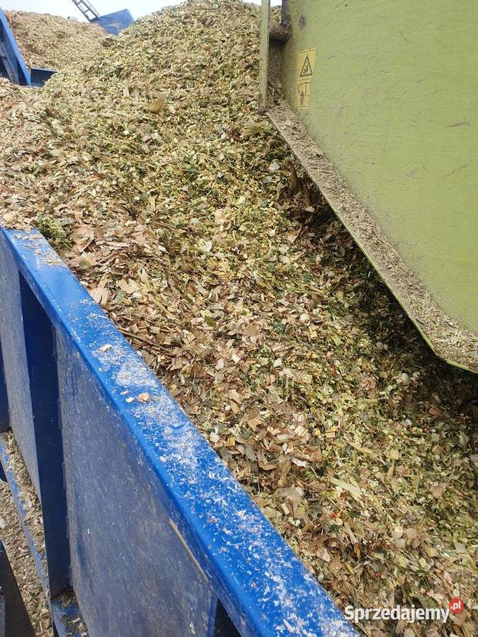 Bele kukurydzy qq bel baloty nie ziarno Pozostałe warmińsko-mazurskie Kalinowo