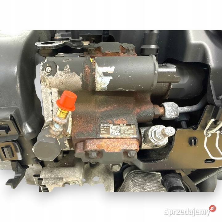 SILNIK K9K282 Nissan Qashqai J10 15 DCI 106 Chełm