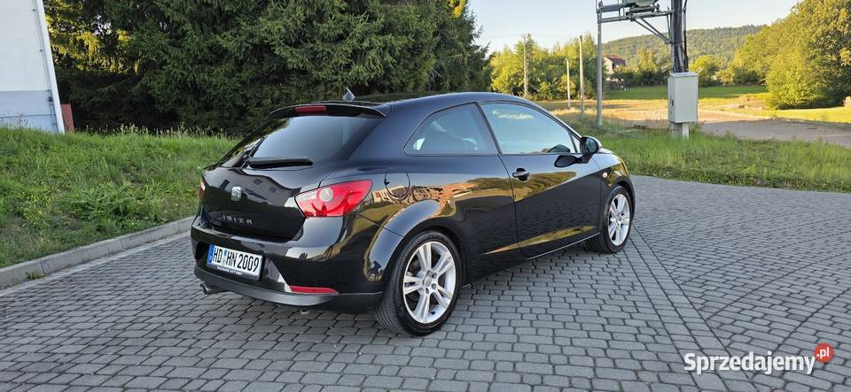Seat Ibiza IV 16 105