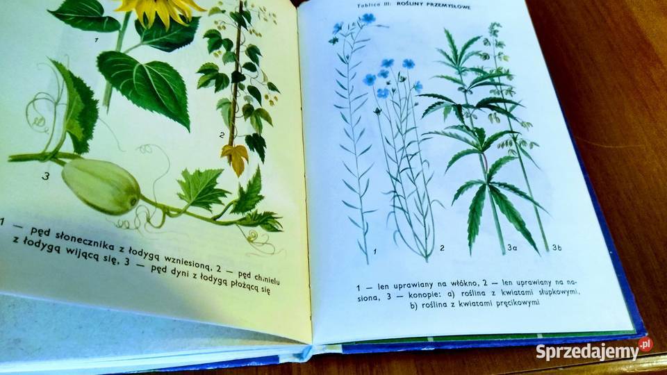 Przyroda klasy V Maria Janicka podręcznik 5 Gdańsk