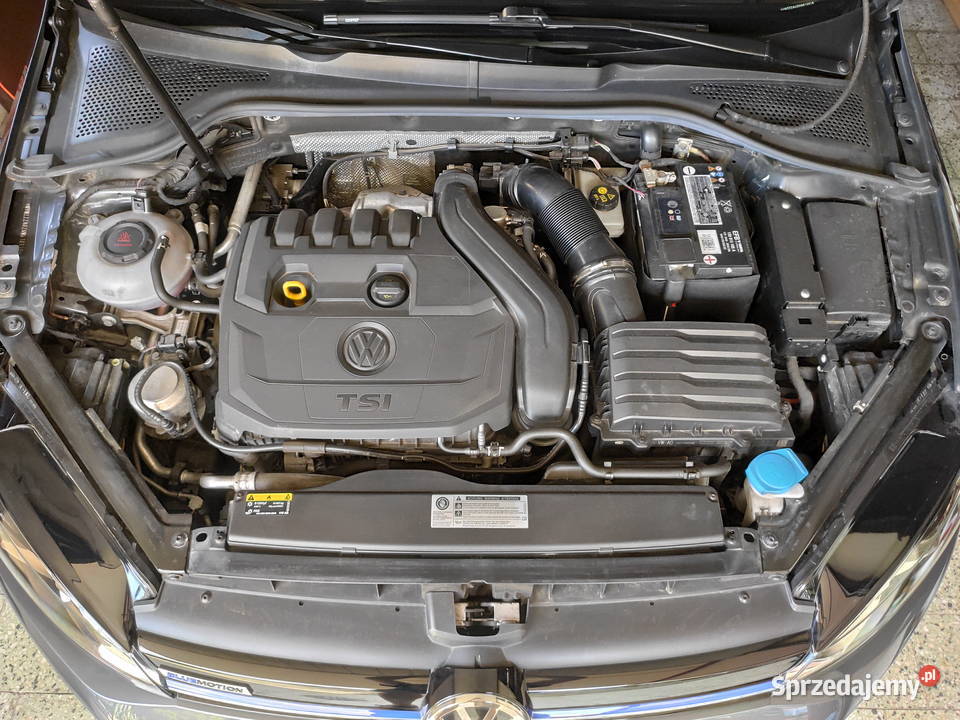 Golf VII 15 TSI BMT Highline 20192020 najlepszy manualna Kraków