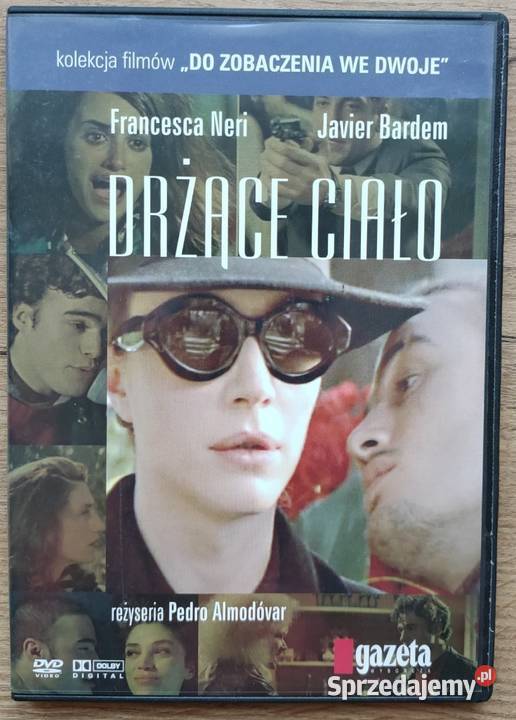 Zestaw różnych filmów 42 sztuk DVD Asterix Sosnowiec