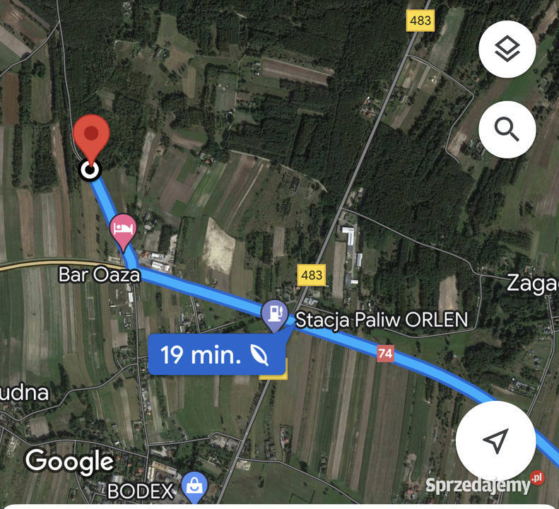 Działka rolna Częściowo zalesiona Sprzedaż Grudna