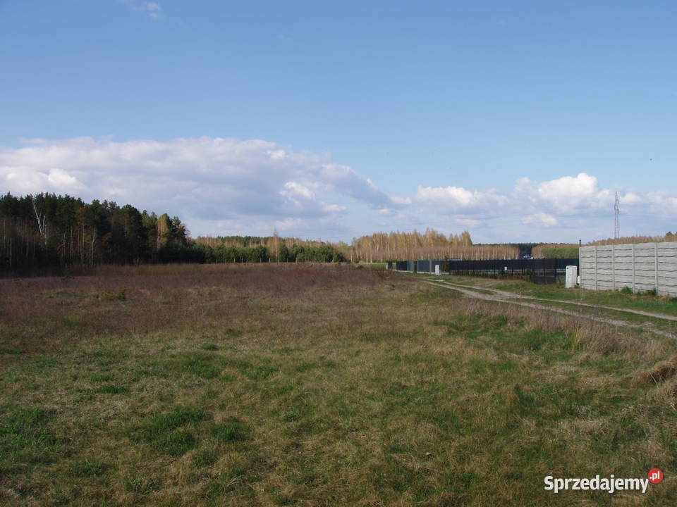 Działka 3000 m z warunkami zabudowy lesie mazowieckie Lorcin