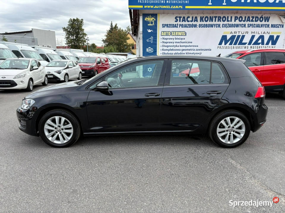 Volkswagen Golf VII 16 TDI 110 153TKM diesel Syców