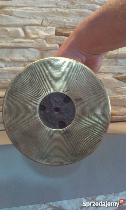 ŁUSKA MOSIĘŻNA Dulcza Wielka