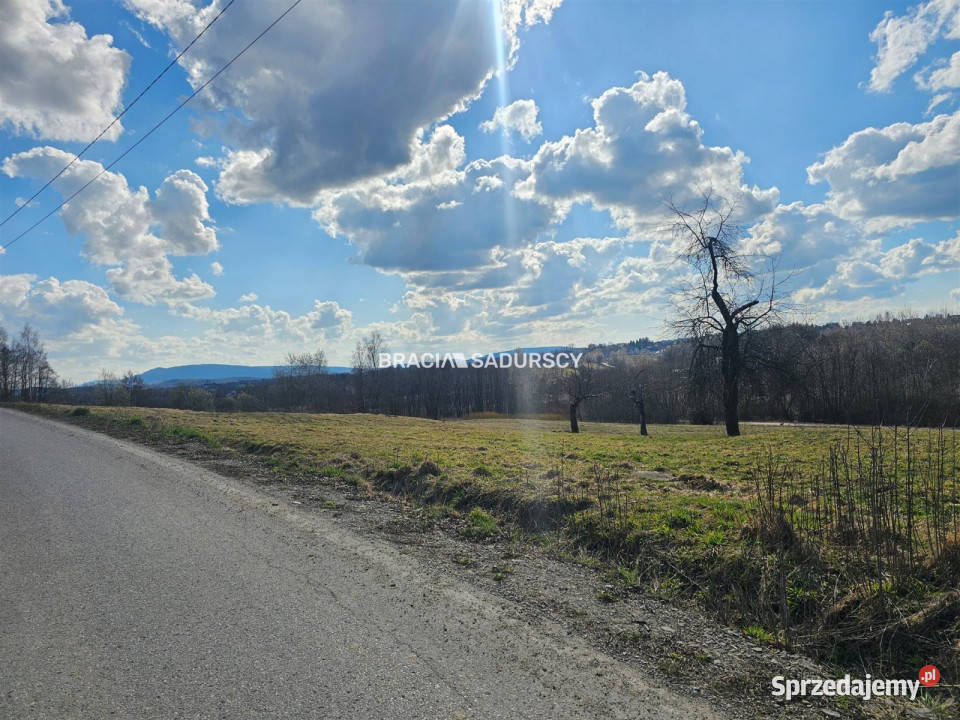Grunt Czechówka Szkolna 5650m2