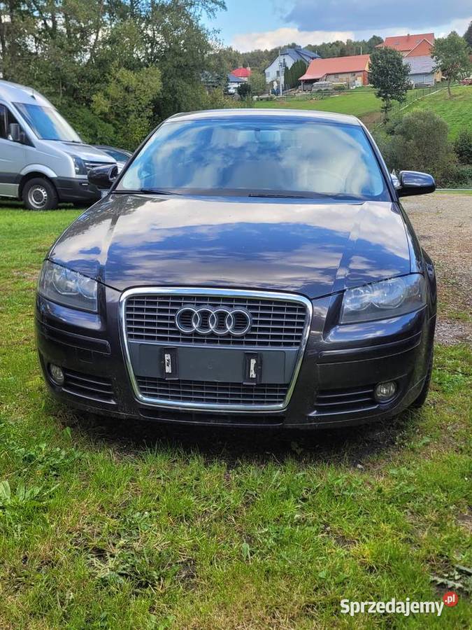 Audi a3 19 TDi manualna Sędziszów Małopolski sprzedam