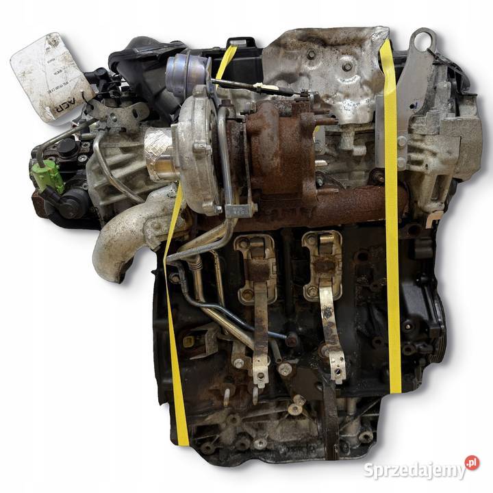 SILNIK M9R786 Renault Trafic Nissan Primastar 20 Chełm