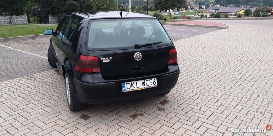 Volkswagen Golf 4 14 benzyna 2001 Golf Ścinawka Średnia