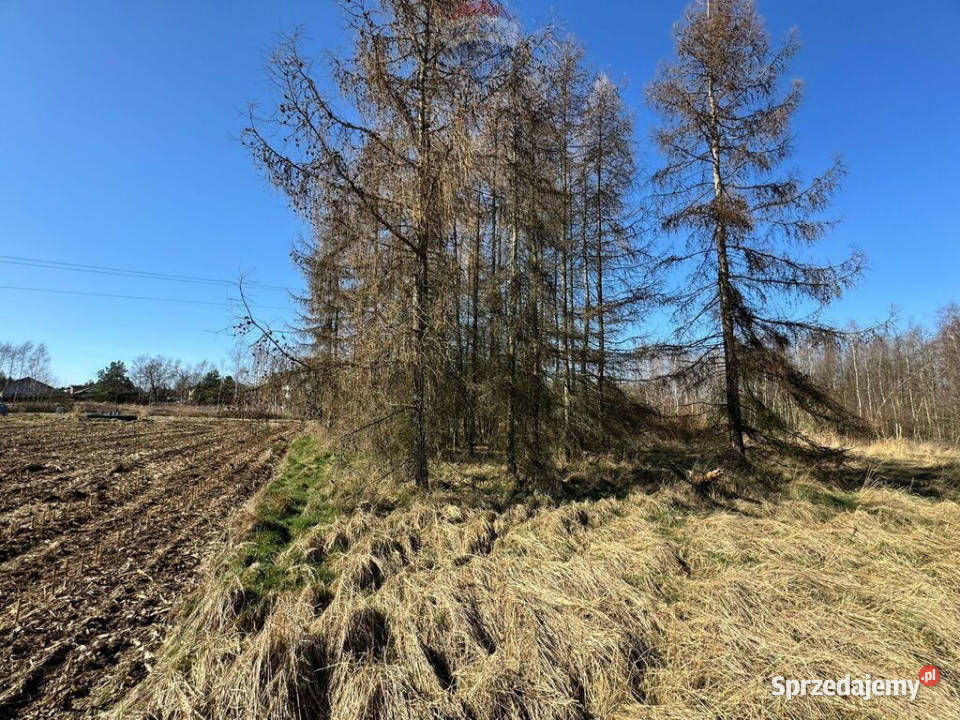 Działka budowlana 5436 m Łuków Śląski 101m