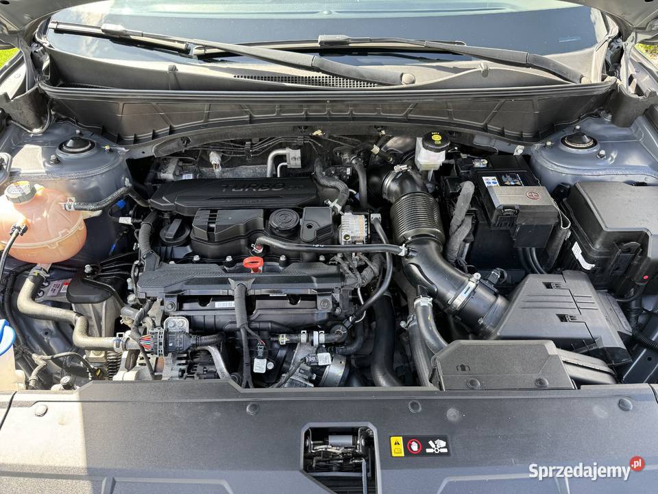 Salon F VAT 23 100 Bezwypadkowy mazowieckie Staroźreby