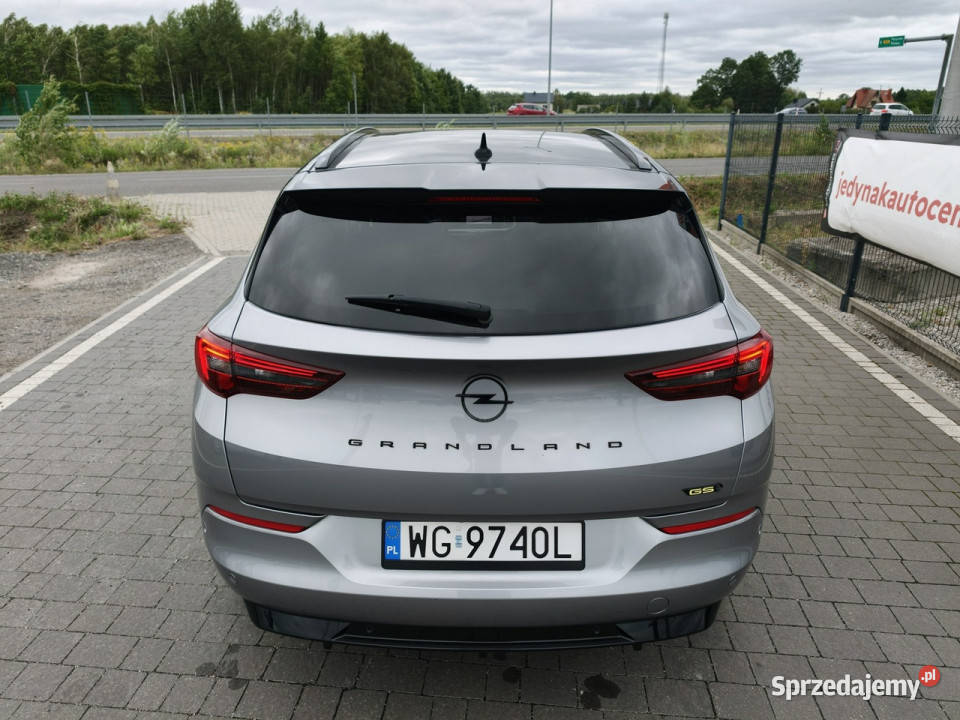 Opel Grandland Lipówki