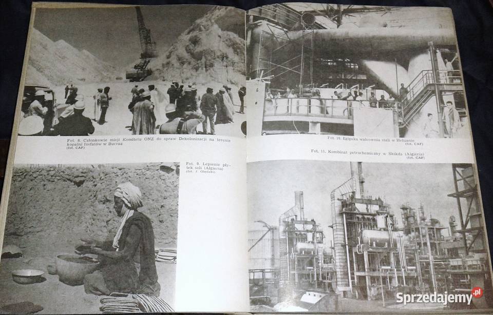 Geografia ekonomiczna Afryki Zbigniew Chełm