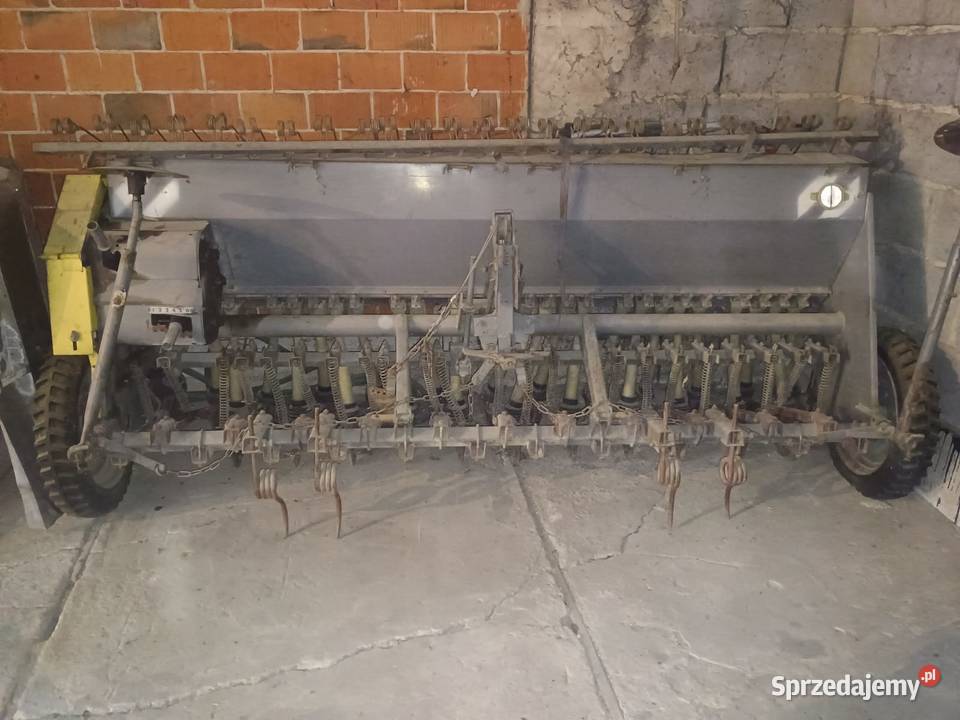 Siewnik Poznaniak mazowieckie