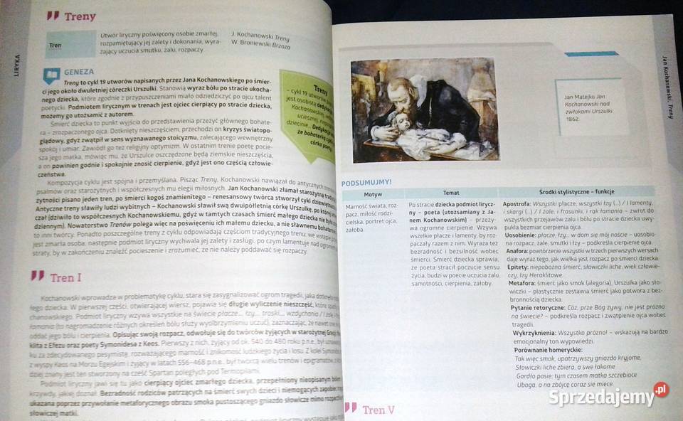 Język polski Egzamin ósmoklasisty na 100 Chełm