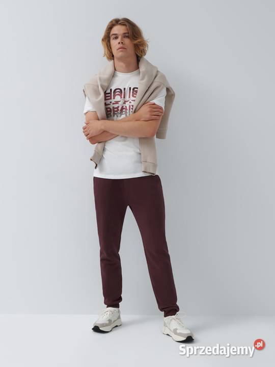 tshirt męski z nadrukiem House Rozmiar L małopolskie Olkusz sprzedam