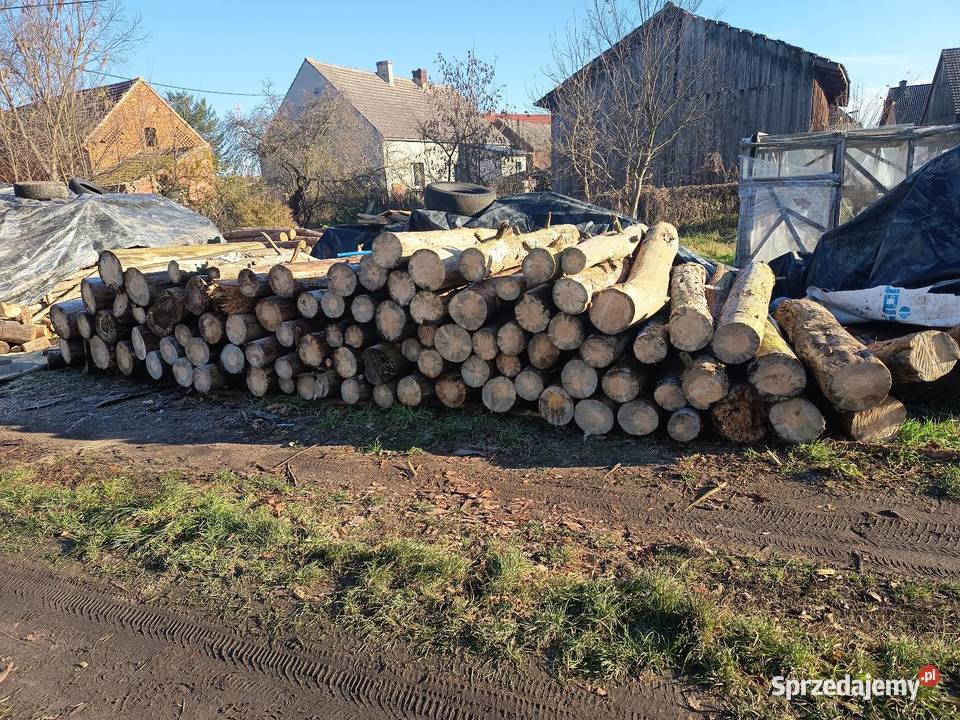 Drewno kominkowe Sulechów