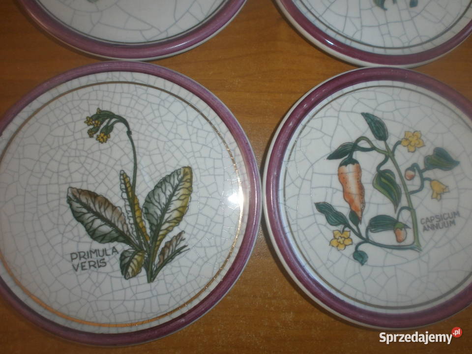 PLANTORGAN porcelana talerzyki 6 sztuk Zielona Góra sprzedam