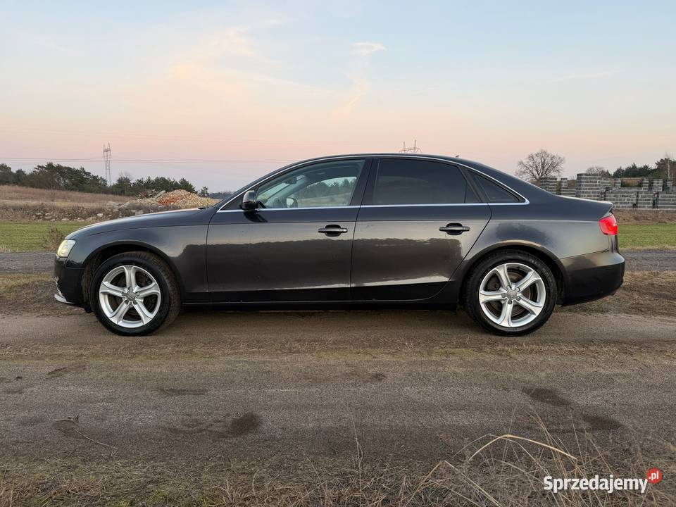 AUDI A4 B8 nieuszkodzony Głodno