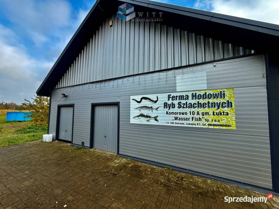 Lokal 342 metry Łukta Sprzedaż