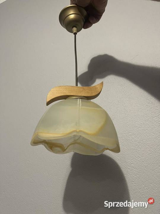 Lampa wisząca z drewnem elementem drewna Jasło