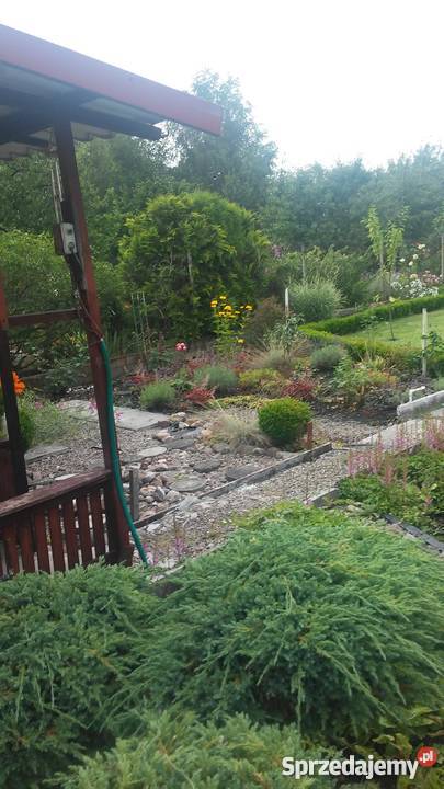 Sprzedam działkę ROD Port Centralny Pozostałe Szczecin