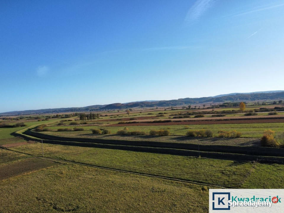 Działka Bzianka 3000m2