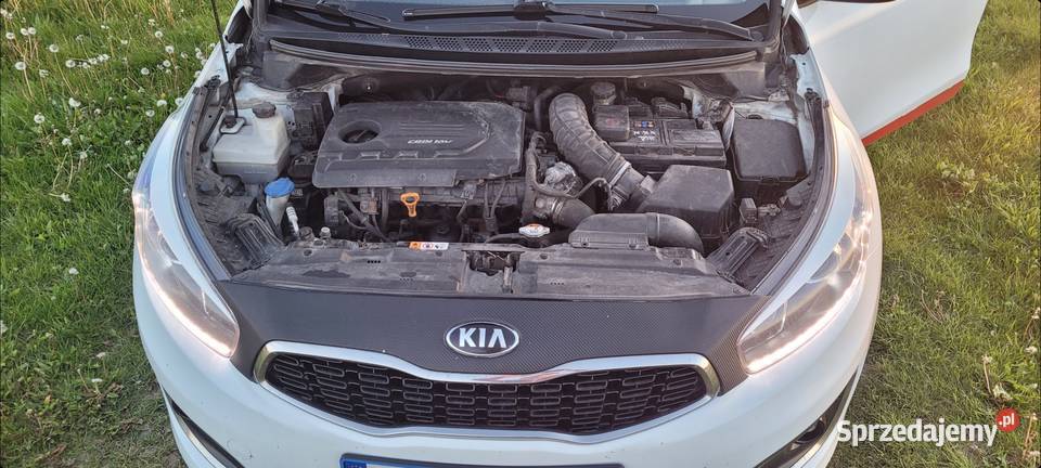 Kia Ceed 2015r 445300km mazowieckie Zbuczyn