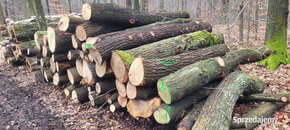 Drewno bukowe dębowe jesion brzoza Katowice