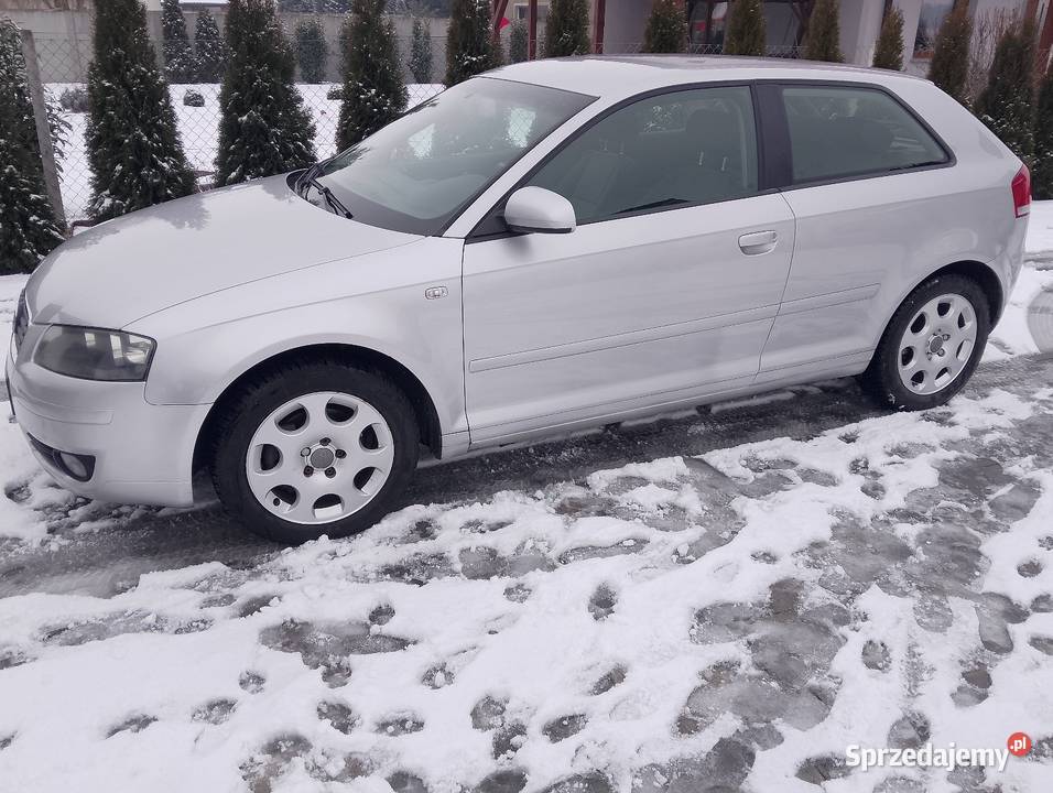 Audi A3 8P 20 TDI salon polska Rok produkcji 2003 dolnośląskie Środa Śląska