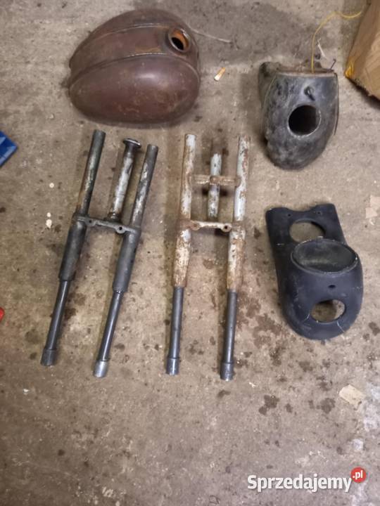 Czesci zak ryś mazowieckie Sokołów Podlaski