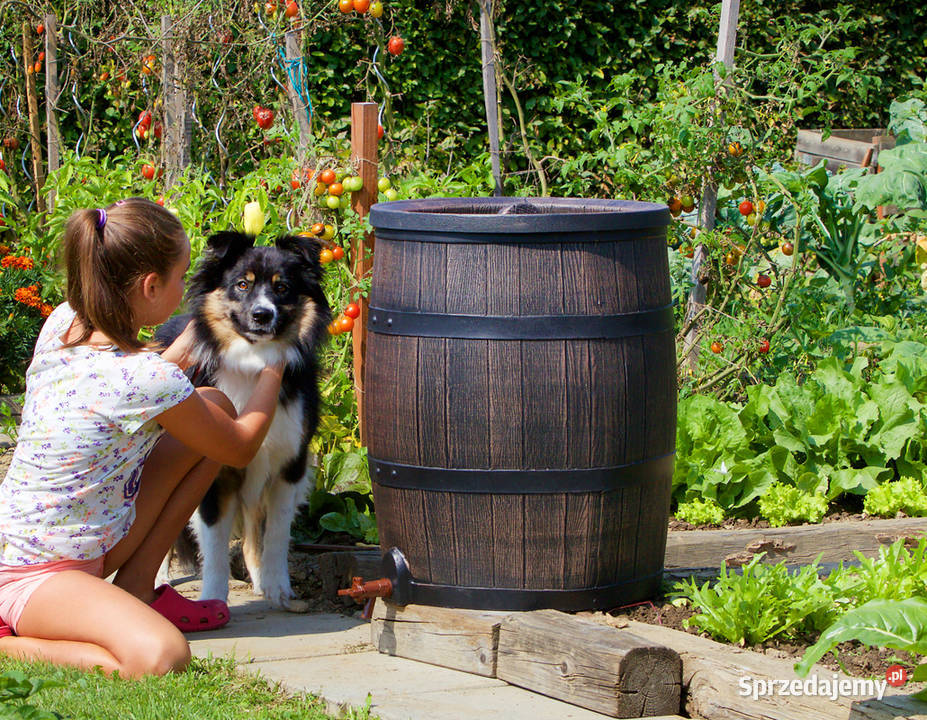Zbiornik ozdobny na deszczówkę Barillo 350L dolnośląskie Wrocław