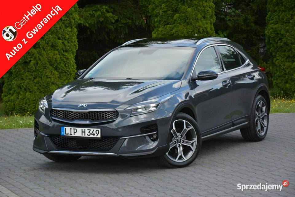 Kia XCeed Launch Full Led Panorama RadarACC JBL czujnik parkowania Ostrów Mazowiecka sprzedam