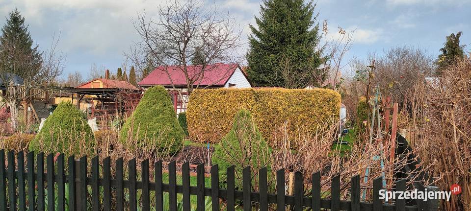 Nieruchomości działki rekreacyjne