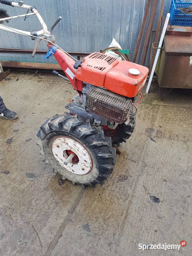 traktorek dzik robi Tropiszów