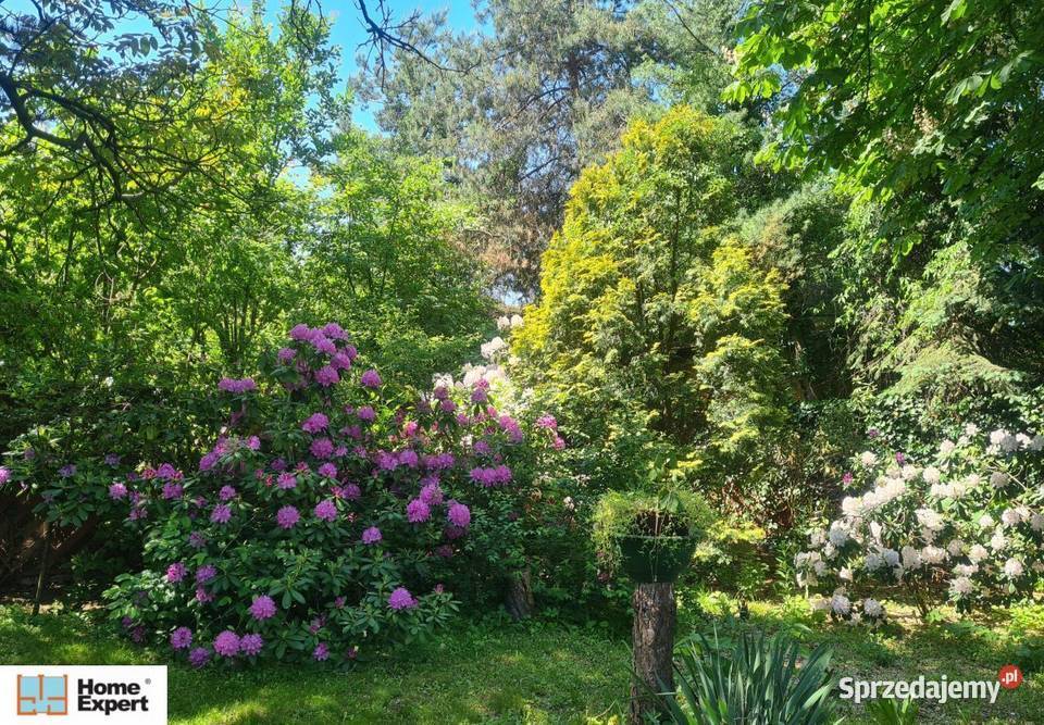 10pok 480met Tarninów TARAS PIWNICA GARAŻ OGRÓD Legnica sprzedam