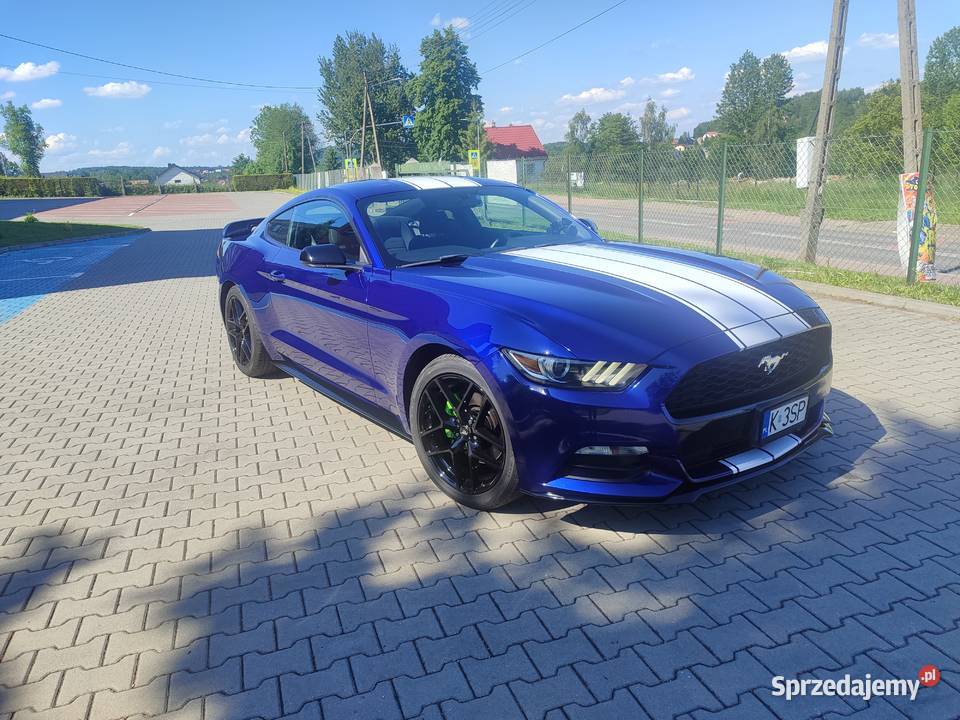 Ford Mustang garażowany serwisowany zadbany małopolskie Kalwaria Zebrzydowska