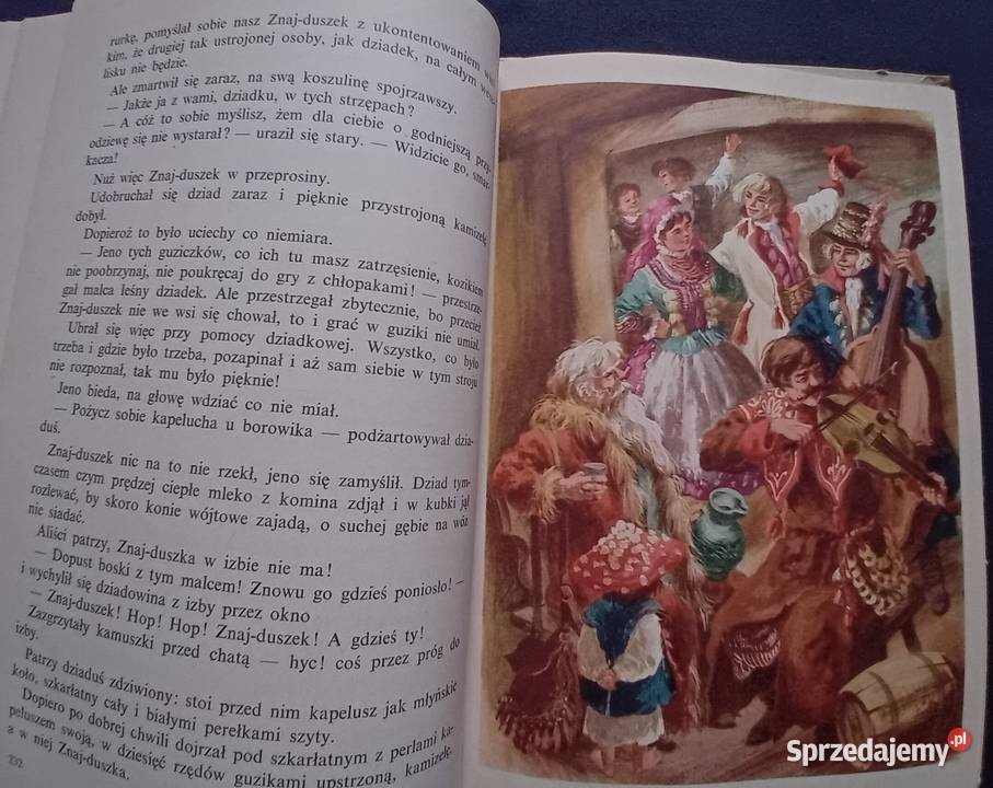 Ewa SzelburgZarembina Królestwo bajki Nasza Antykwariat Koźminek