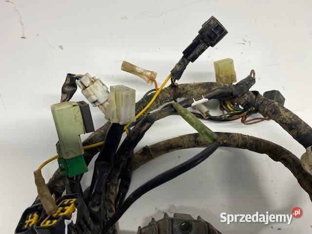 Instalacja elektryczna wiązka Yamaha Raptor 350 lubuskie Sulęcin