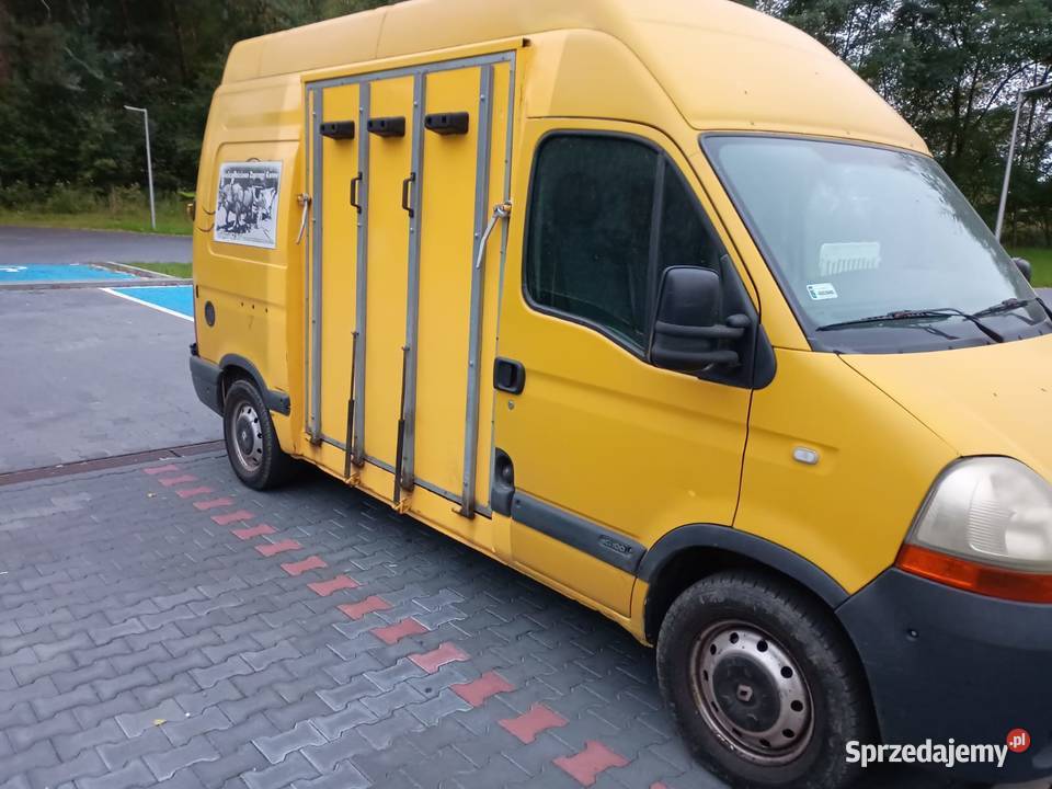 Renault Master Koniowóz 100KM Gorzów