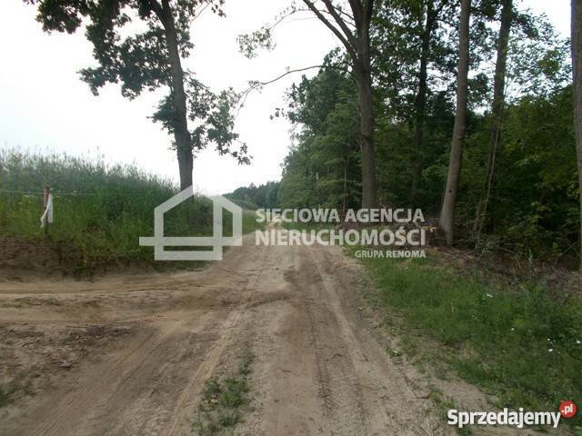 sprzedaży gruntu 41960m2 rolna