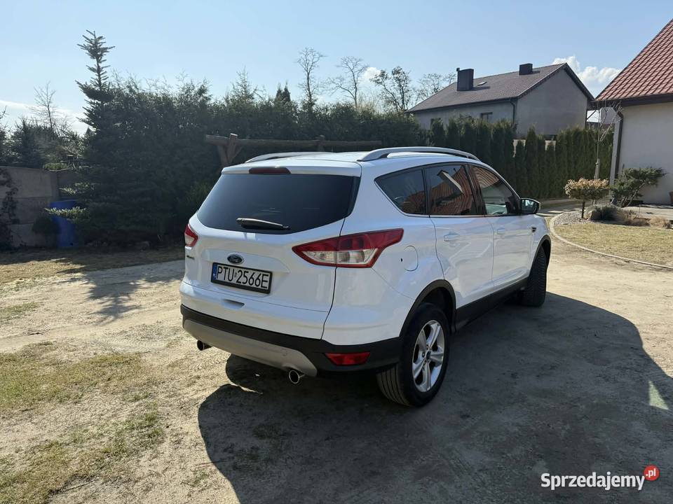 Ford Kuga Russocice