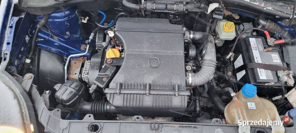 Punto Sport 14MPI 77 178 Wodzisław Śląski