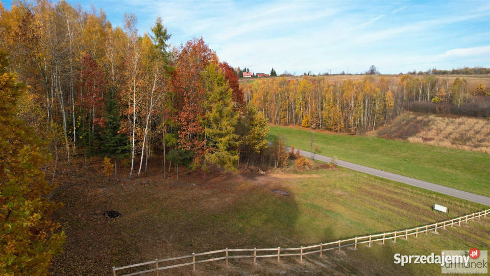 Działka 4182m2 TeodorówkaKolonia Sprzedaż Teodorówka-Kolonia sprzedam