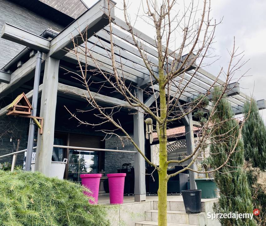 5pok 250met oś Sienkiewicza PIWNICAOGRÓDGARAŻ Rok budowy 2014 sprzedam